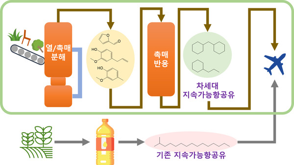 비식용 식물자원에서 차세대 지속가능항공유(SAF)를 생산하는 공정 모식도 (KIST 제공)
